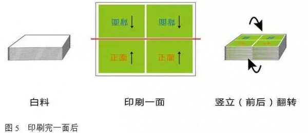 滾翻版印刷 印刷完一面后.jpg